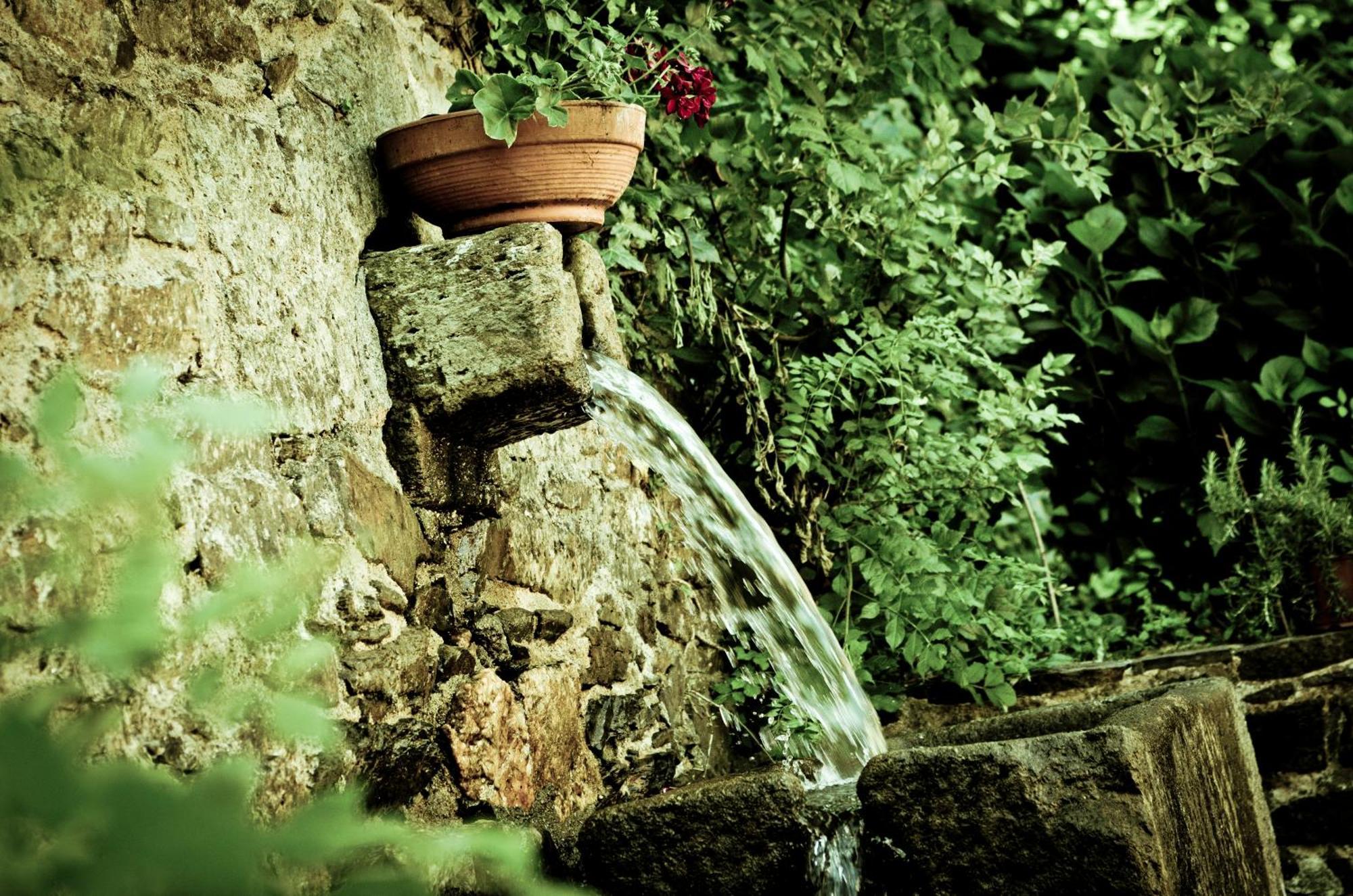 Pazo Xan Xordo Guest House Лавакоя Екстериор снимка